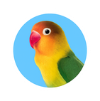 lovebird_resized_141x142
