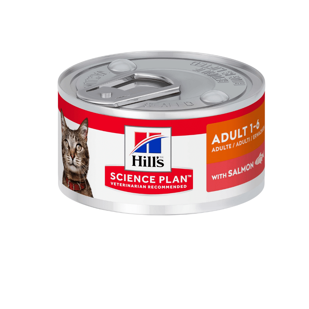 Hills Adult Salmon Can 82g (2)