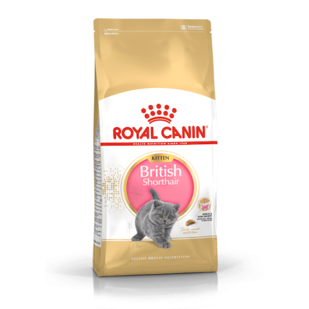 Royal Canin British Shorthair Kitten 2Kg