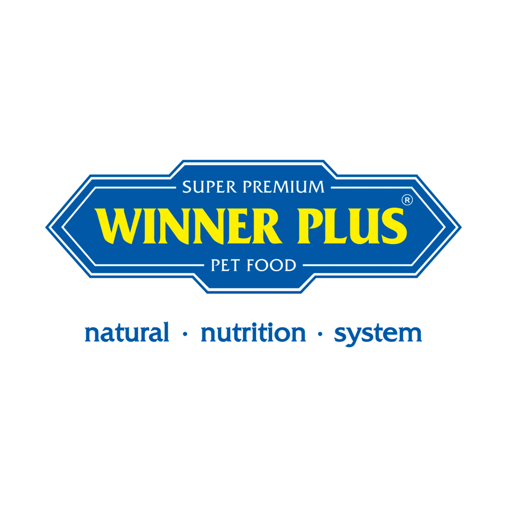 Winner Plus