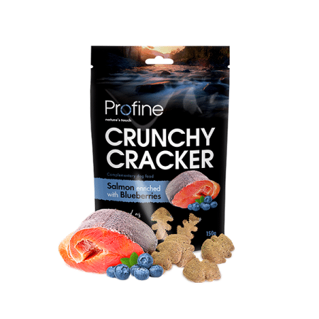Crunchy Cracker Salmon enriched with Blueberries