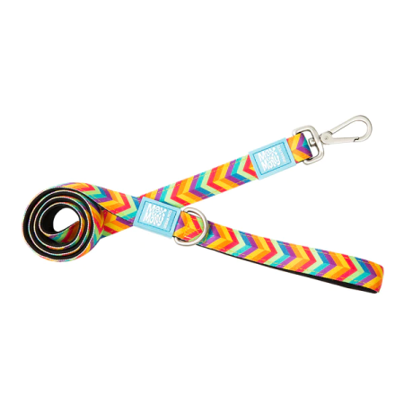 SHORT LEASH SUMMERTIME S