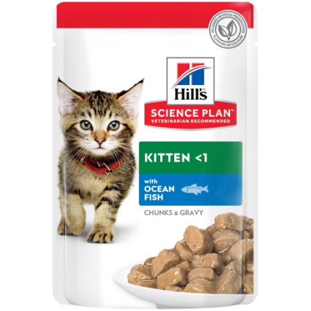 Hills Kitten With Ocean Fish 85g