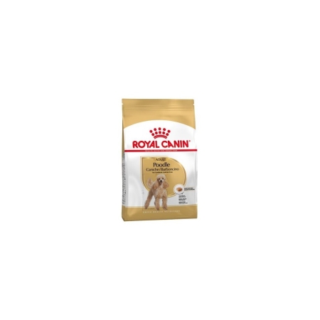 Royal Canin Poodle Adult