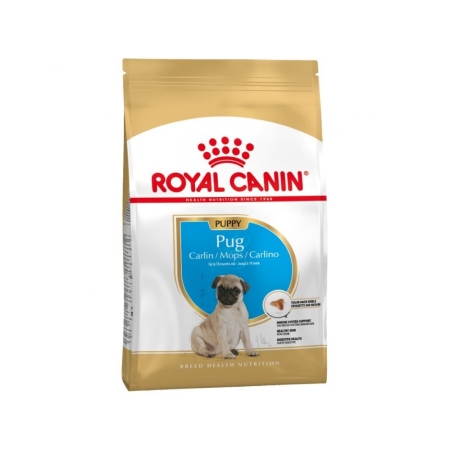 Royal Canin Pug Puppy