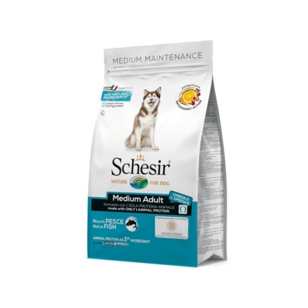 Schesir Medium Adult Fish