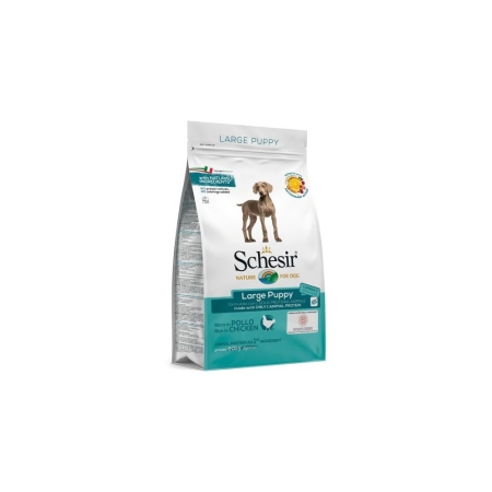 Schesir Large Puppy