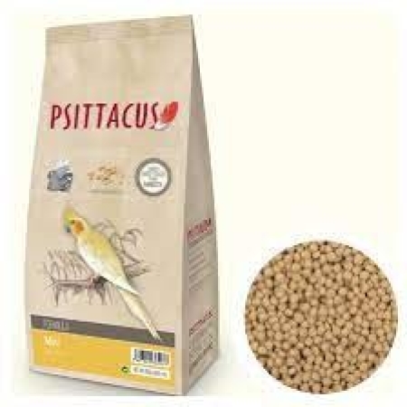 Psittacus Mini