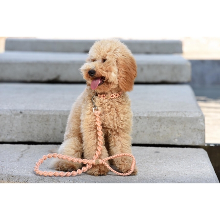 UNICORD DNA ORANGE LEASH