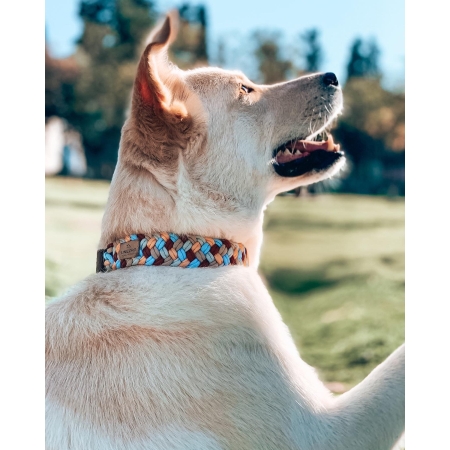 UNICORD COLOUR PARTY COLLAR