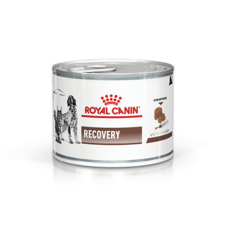 Food Dogs And Cats Recovery Can