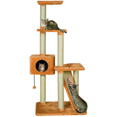 SCRATCHING POLE JANGA