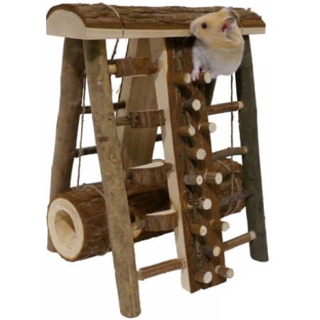 HAMSTER ACTIVITY ASSAULT COURSE
