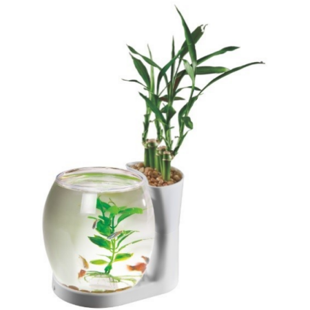 NATURAL WORLD AQUARIUM SIGLE TANK