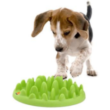 GREEN SLOW DOG FEEDER