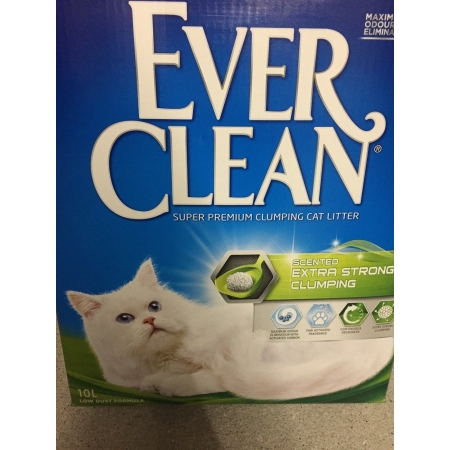 Ever Clean Extra Strong Scented