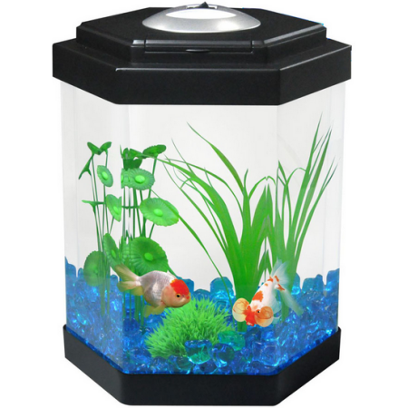 AQUARIUM 24.2x24.2x31cm