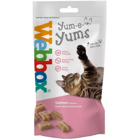 WEBBOX YUM-E-YUMS SALMON CAT TREAT 40g