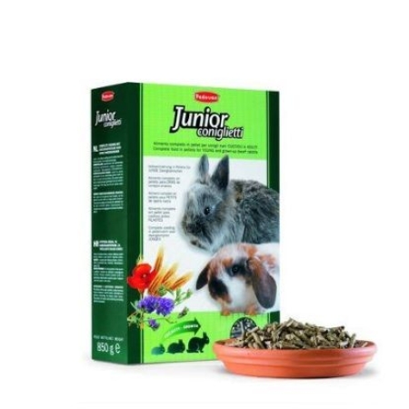 JUNIOR coniglietti