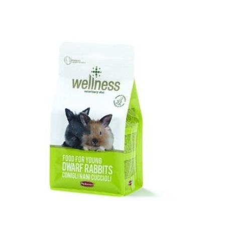 WELINESS YOUNG DWARF RABBITS