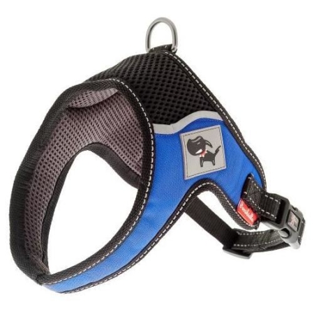 harness Everest blue