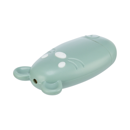 LASER POINTER PLASTIC USB 7cm SAGE