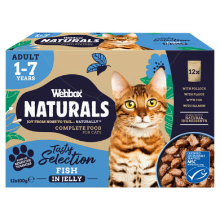 WBX NAT CAT FISH IN LELLY SELE 100GR 12PCS