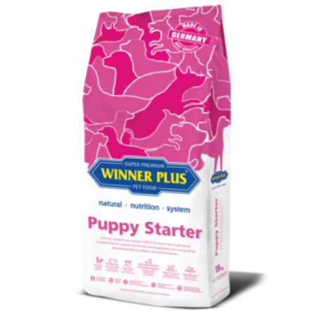 Winner Plus Starter