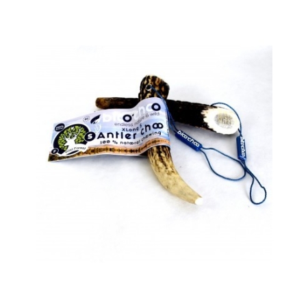 Bloo Choo full antler 2xl 160-200g
