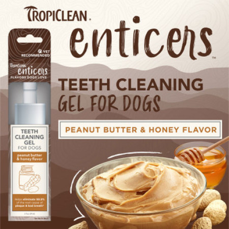 ENTICERS GEL peanut butter & honey flavor