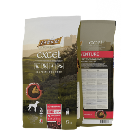 Prince Excel Adventure