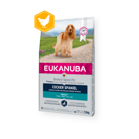 Eukanuba  Cocker Spaniel