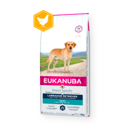 Eukanuba  Labrador Retriever