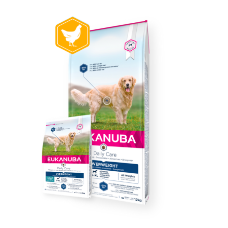 Eukanuba Adult Daily Care Overweight Sterilised