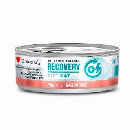 DS MET.BAL.C.RECOV.ΣΟΛΟΜΟΣ 85gr