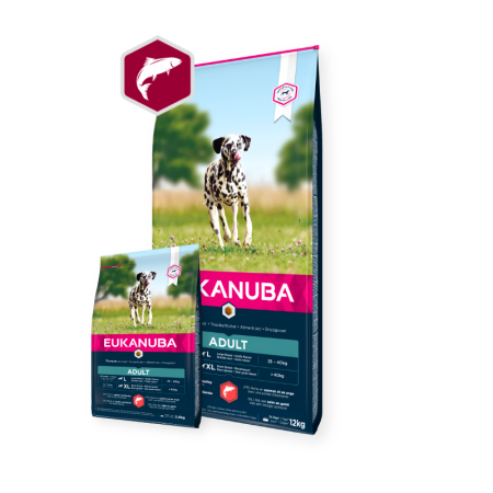 Eukanuba Eukanuba Adult Large Breed with Salmon