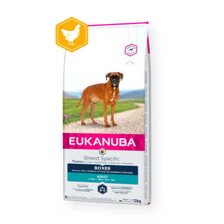 Eukanuba Boxer