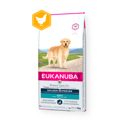 Eukanuba  Golden Retriever