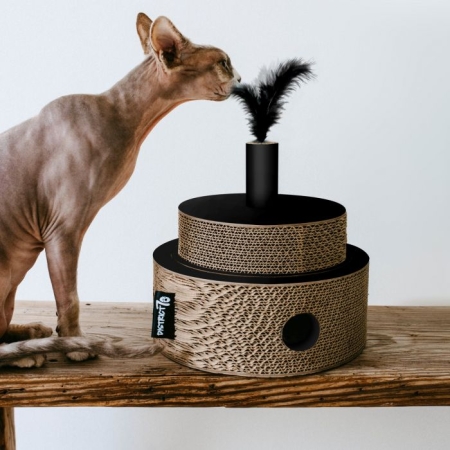 DISTRICT 70 - FIESTA BLACK