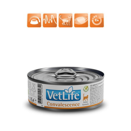 Farmina Vet Life Cat Wet Food Convalescence
