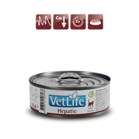 Farmina Vet Life Cat Wet Food Hepatic