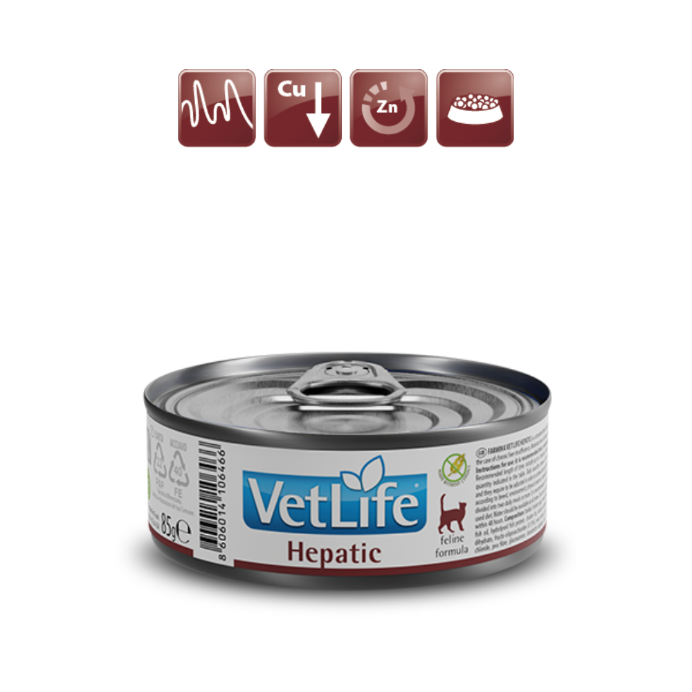 Farmina-Vet-Life-Hepatic-70g.png