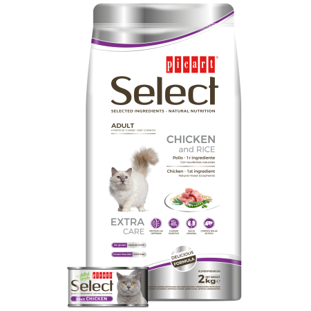 Adult Chicken And Rice