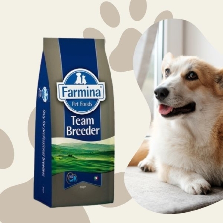Farmina Team Breeder Top Farmina Dry Dog Food