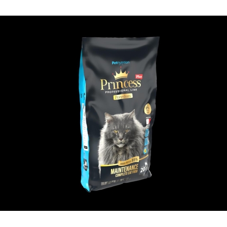 Princess Plus Maintenance