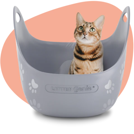 LitterGenie Litterbox Grey with Scoop Grey