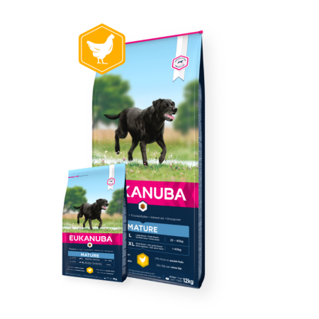 Eukanuba Mature Large Breed with Chicken