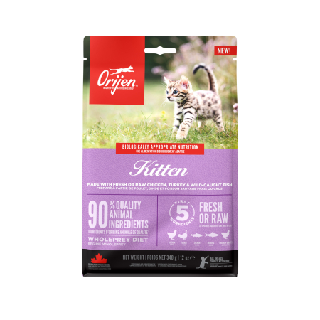 Orijen Kitten