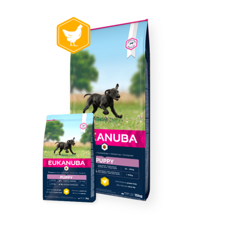 Eukanuba Puppy Large Breed 15kg