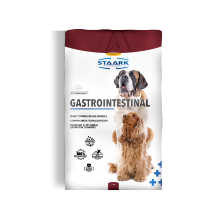 STAARK GASTROINTESTINAL DOG